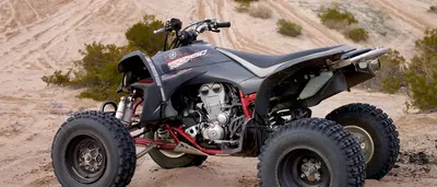 ATV Tour Banyan Tree Veya Valle de Guadalupe