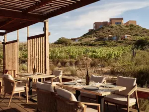 Jardin Botánico at Banyan Tree Veya valle de Guadalupe